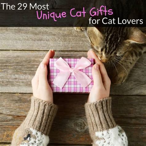 The 29 Most Unique Cat Gifts For Cat Lovers | Unique cat gifts, Cat gifts, Cat lover gifts