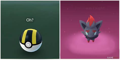 Pokemon GO: How To Catch Zorua