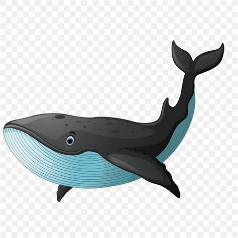 Black Whale, PNG, 1800x1800px, Sperm Whale, Cartoon, Dolphin, Drawing, Fauna Download Free