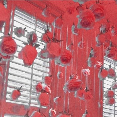 #red #aesthetic #soft #feed #redaesthetic #flower | Red aesthetic, Red widgets aesthetic ...