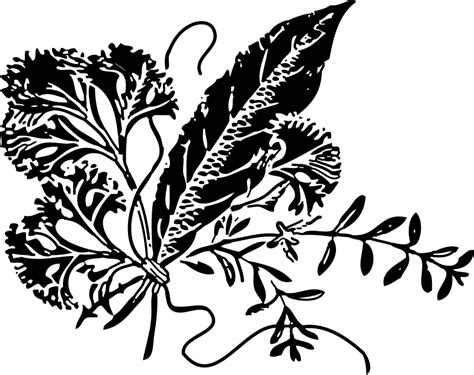 Free Clipart: Herbs | johnny_automatic