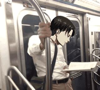 levi | GIF | PrimoGIF