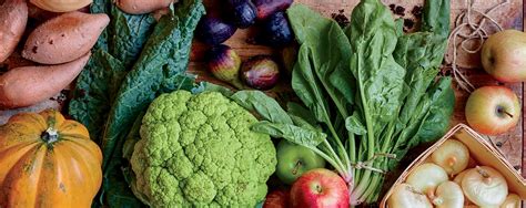 Low Carbon Diet: Affects the Environment and You | WW Australia