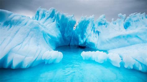 Antarctica Tours & Travel - G Adventures