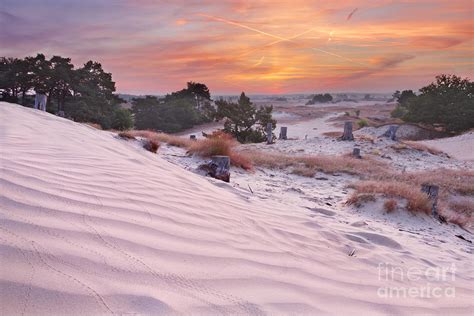 Sunrise over sand dunes Photograph by Sara Winter | Fine Art America