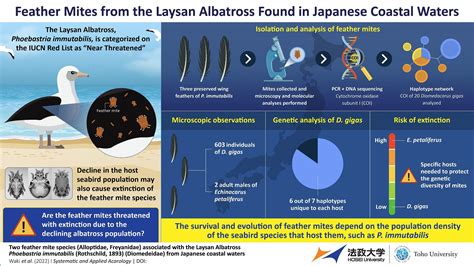 Feather mite species associated with Laysan albatross discovered in Japan