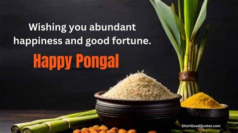 Happy Pongal Wishes 2024 , Messages, Quotes, Images, and WhatsApp ...