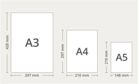 Paper Sizes And Formats, The Difference Between A4 And, 60% OFF