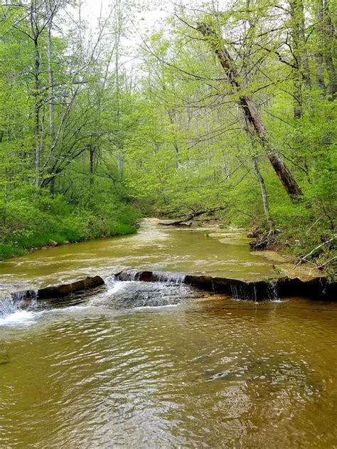 Pin by Trevor Smith on Shawnee State Forest Ohio | State forest, Shawnee state, Forest