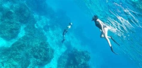 Dream Cozumel Island Snorkeling - Tours in Cancun, Riviera Maya, Merida ...