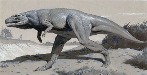 Neave Parker's 1960s reconstruction of Megalosaurus | Dinosaur art, Dinosaur illustration ...