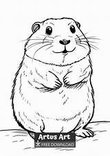Gopher Coloring Page For Kids sketch template