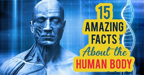 Did You Know Human Body Facts