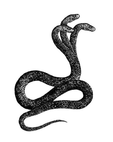 Evil Snake Drawing | Free download on ClipArtMag