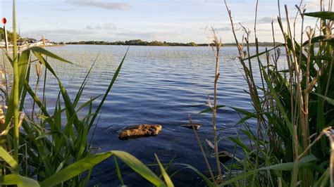 How the river Shannon got its name - The Driftwood Boat Blog