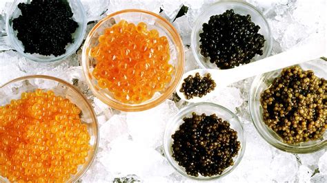 CAVIAR FACTS, ONE OF THE MOST EXPENSIVE FOOD IN THE WORLD – Ishkabibble ...