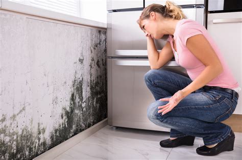 Why and How to Prevent Mold After Water Damage