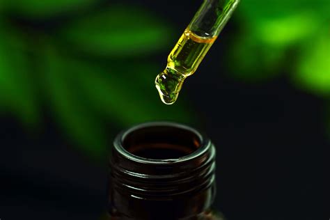 7 Things You Didn't Know About Cannabidiol Skincare : CBGardn