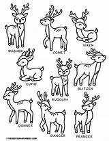 Reindeer Coloring Pages Free Printables  The Best Ideas For Kids sketch template