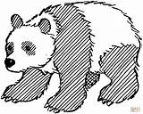 Pandas Coloring Pages  Learny Kids sketch template