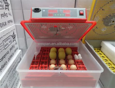 Wq 36 Mini Parrot Egg Incubator With Multi-function Egg Turner Tray ...