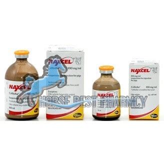 Buy Naxcel 100mg Online | Naxcel 100 mg/ml Suspension for Injection