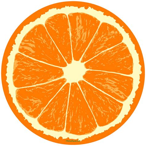 Orange Fruit Drawing Images