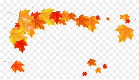 Maple Leaf Autumn - Yellow Leaves Border Png - Free Transparent PNG ...