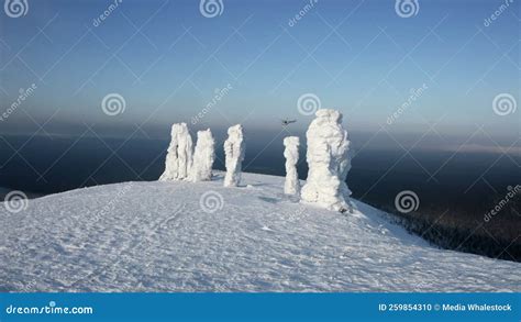 Bird S-eye View of the Snowy Mountains. Clip Stock Footage - Video of high, explore: 259854310