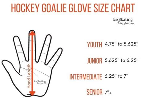 15 Best Hockey Goalie Gloves in 2022 (youth + junior + interm + senior)