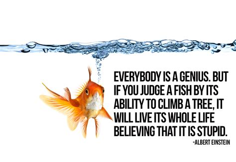 Everybody is a genius. But if you judge a fish by its ability to climb a tree | Strategy Lab ...