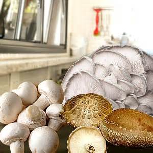 Edible Mushroom Recipes