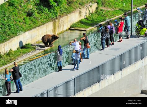 Visitors at the Bear Park in Bern, Switzerland Stock Photo - Alamy