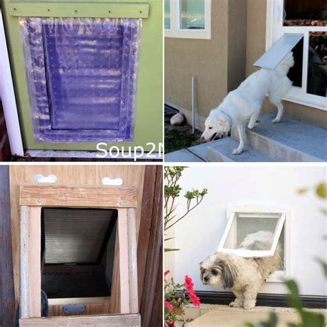 How to Make a Dog Door (8 Free DIY Dog Door Plans)