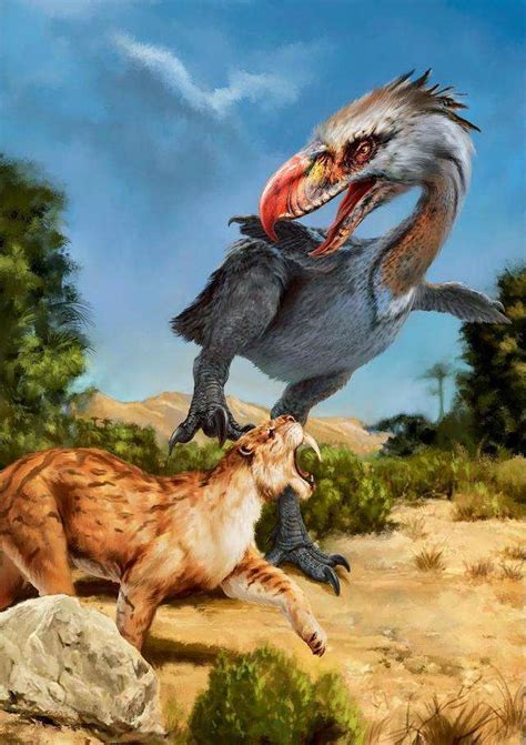 Titanis walleri vs Smilodon gracilis : r/pleistocene