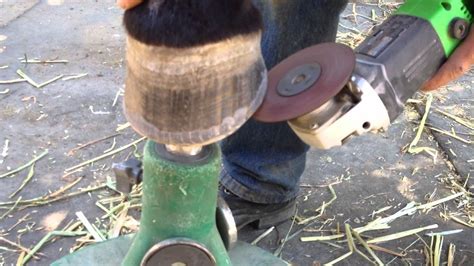 Hoof trimming a Barefoot Horse Using a Grinder - Part 2 - Training the Eye- Rick Gore ...