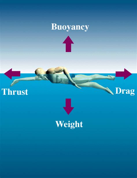 Fluid Friction - The Physics of Swimming.