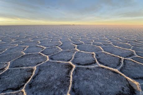 98 Honeycomb structure Stock Pictures, Editorial Images and Stock Photos | Shutterstock