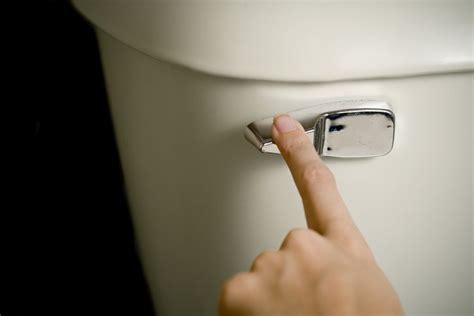 How To Flush The Toilet When The Water Is Off