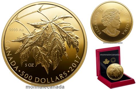 2017 - $500 - 5 oz. Pure Gold Coin - Maple Leaves - Canada Coins