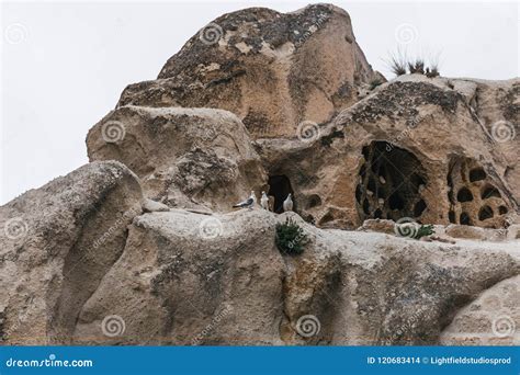 Beautiful Caves in Goreme Sandstone at National Park, Stock Photo - Image of trip, nature: 120683414