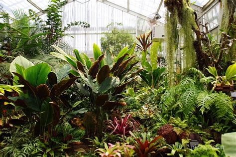 Image result for tropical greenhouse | Gewächshaus