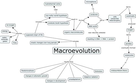 An Investigation of Evolution: F.A.Q.s