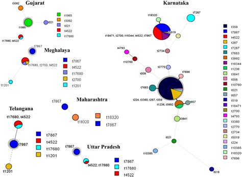 Minimum spanning trees showing spa types in each of the states. Each... | Download Scientific ...