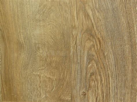 Fine Oak Tree Wood Texture Pattern Background. Exquisite Design Oak ...