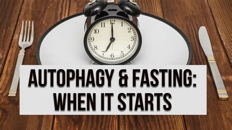 Autophagy & Fasting: When it Starts, Exercise & Tips to Enhance - High Intensity Health | Mike ...