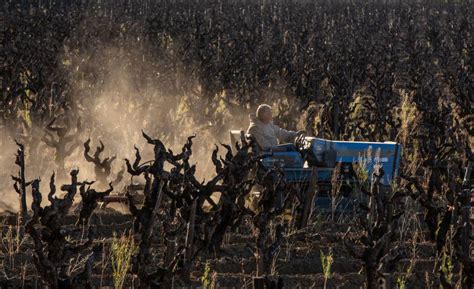 Punishing Bay Area Drought Prompts Calls for Major Water Rethink | KQED