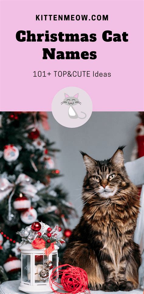 Christmas Cat Names 101+ TOP Ideas [with Video] - KittenMeow