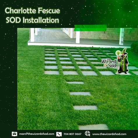 Fescue sod installation in charlotte – Artofit