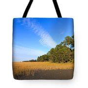 Pluff mud and salt marsh at Hunting Island State Park Photograph by Louise Heusinkveld - Fine ...